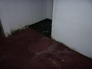 Flood Damaged Basement | MoldPro | Alberta Asbestos and Mold Removal Specialists
