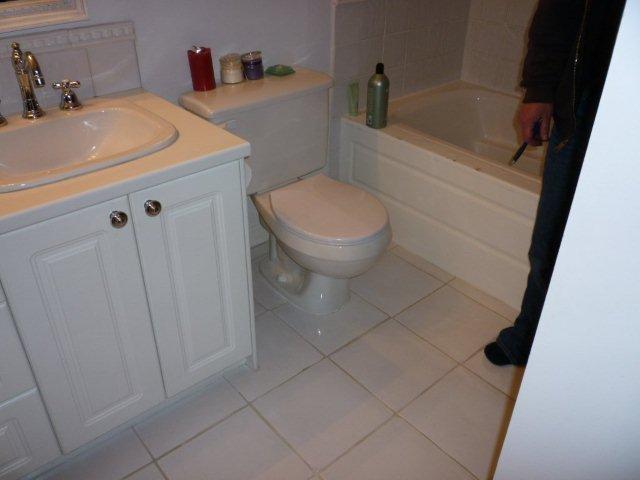 Bathroom Mold | MoldPro | Alberta Asbestos and Mold Removal Specialists