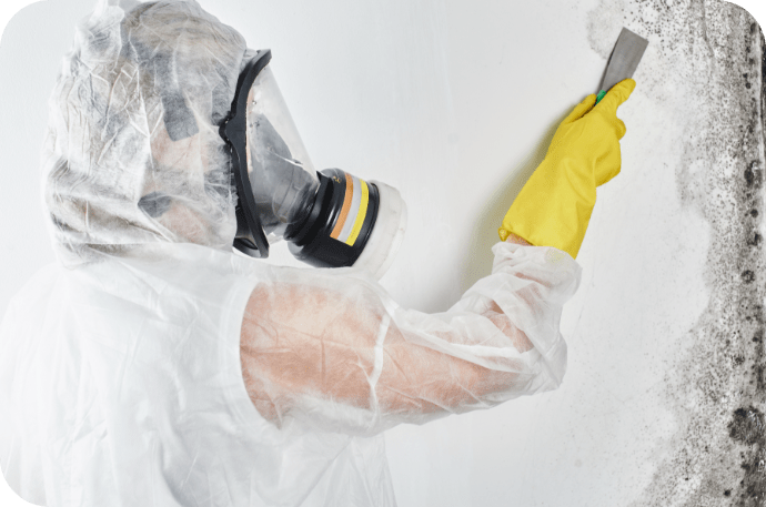 Mold Removal | MoldPro | Alberta Asbestos and Mold Removal Specialists