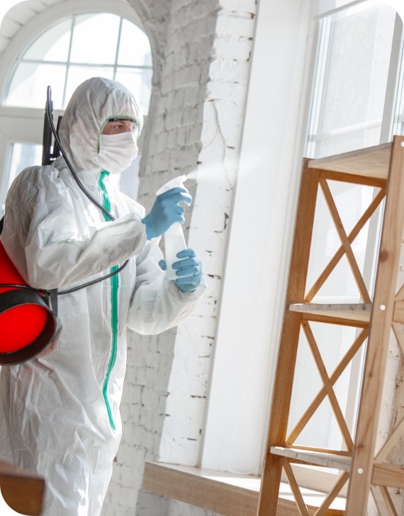 Mold Removal | MoldPro | Alberta Asbestos and Mold Removal Specialists
