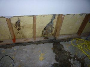 Flood Damaged Basement | MoldPro | Alberta Asbestos and Mold Removal Specialists