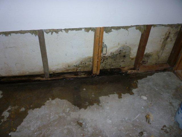 Flood Damaged Basement | MoldPro | Alberta Asbestos and Mold Removal Specialists
