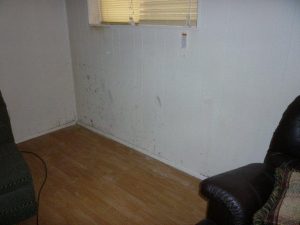 Mold on Wall | MoldPro | Alberta Asbestos and Mold Removal Specialists