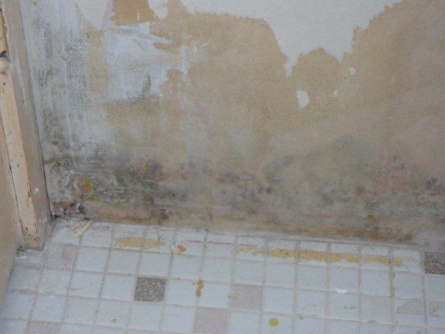 Mold Behind Tiled Wall | MoldPro | Alberta Asbestos and Mold Removal Specialists