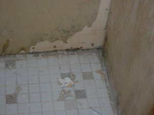 Mold Behind Tiled Wall | MoldPro | Alberta Asbestos and Mold Removal Specialists