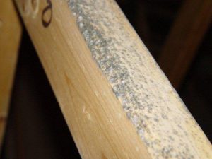 Mold in the Attic | MoldPro | Alberta Asbestos and Mold Removal Specialists