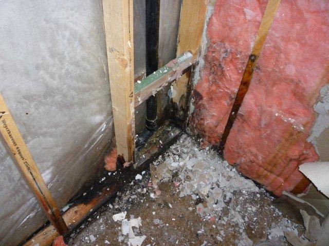 Mold Inside of Wall | MoldPro | Alberta Asbestos and Mold Removal Specialists