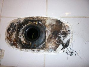 Mold Hiding Below Toilet | MoldPro | Alberta Asbestos and Mold Removal Specialists