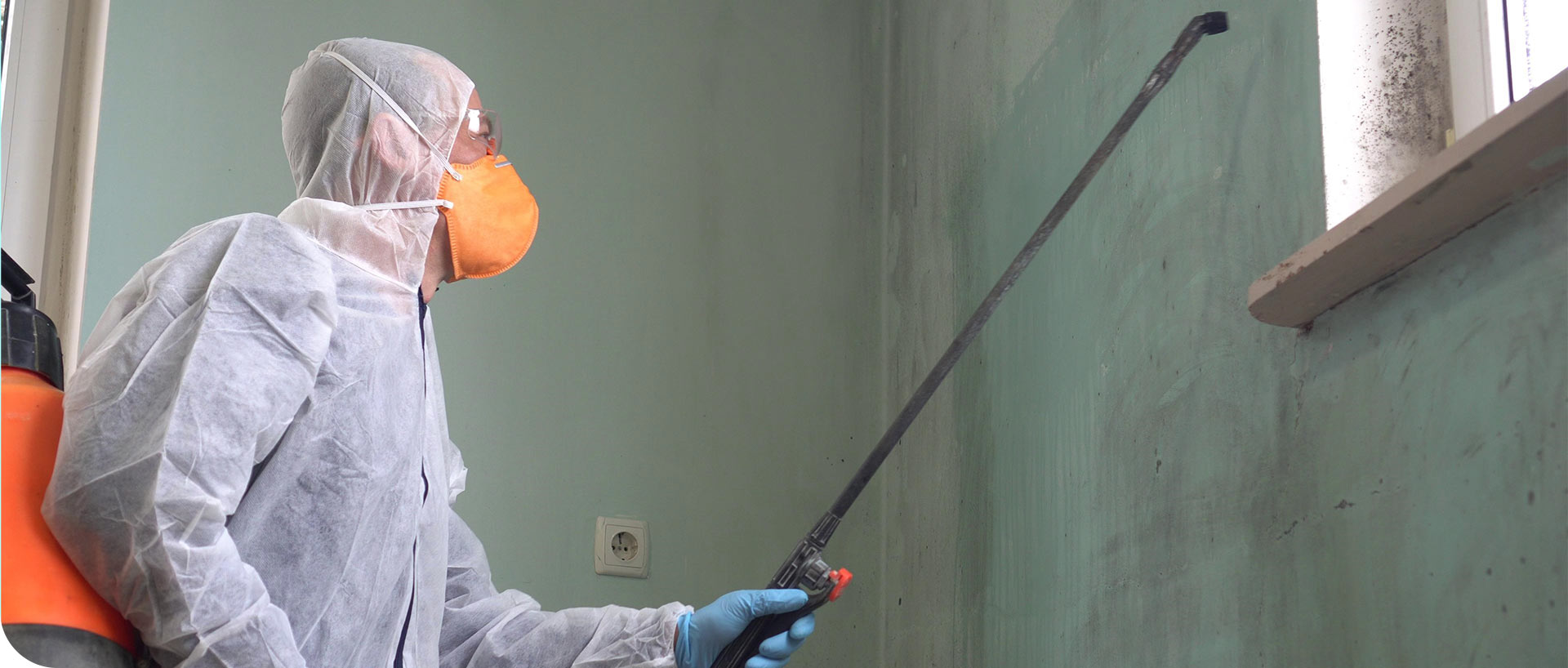 Mold Removal | MoldPro | Alberta Asbestos and Mold Removal Specialists