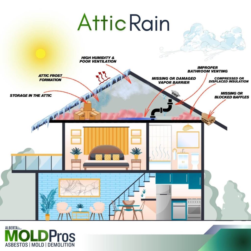 Attic-rain-CALGARY- INFOGRAPHIC-MOLDPROS