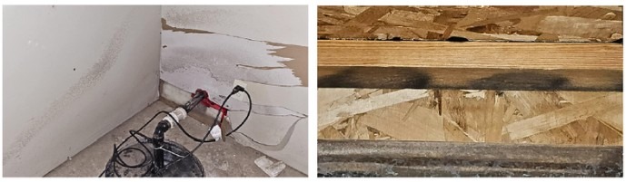 Basement Mold | MoldPro | Alberta Asbestos and Mold Removal Specialists